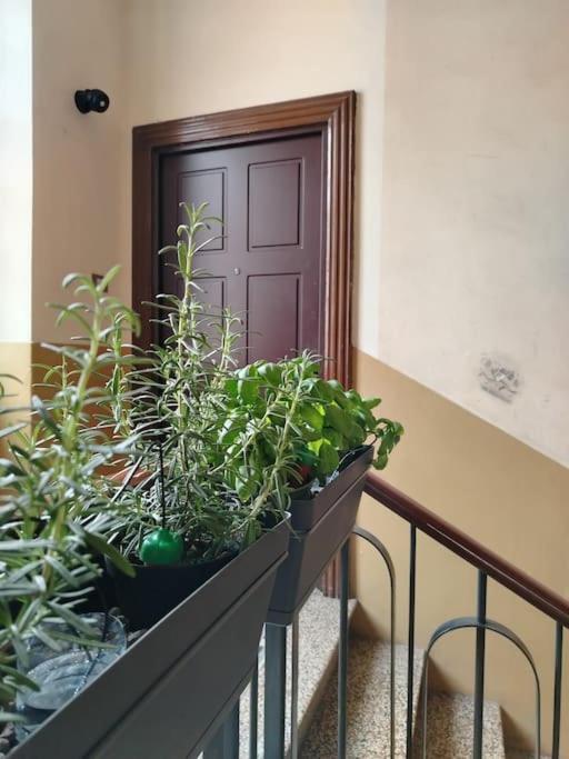 Bnb Citylifers Μιλάνο Εξωτερικό φωτογραφία